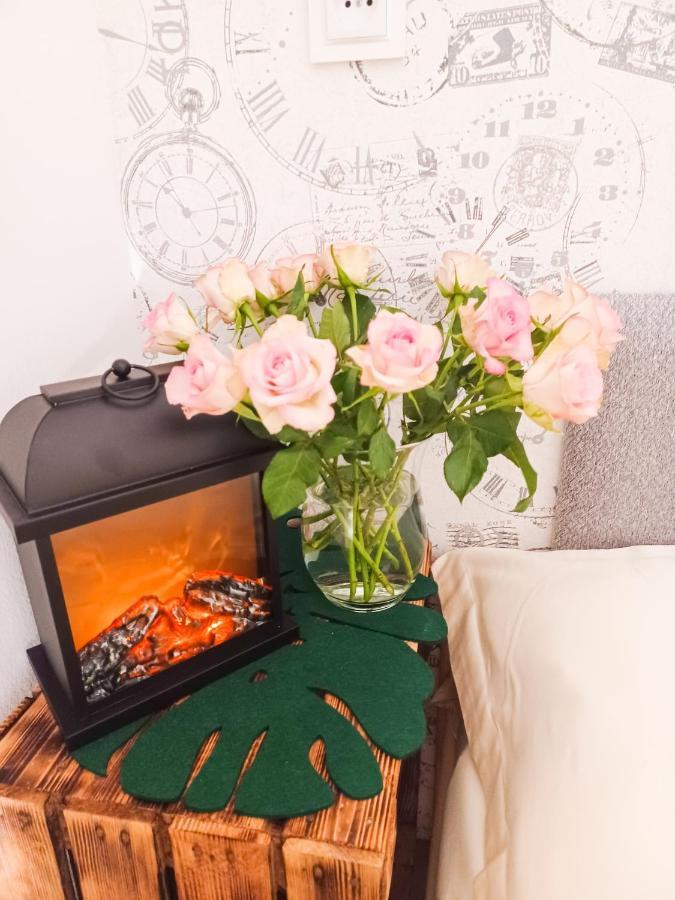 Apartament Laba Sosnówka Dış mekan fotoğraf