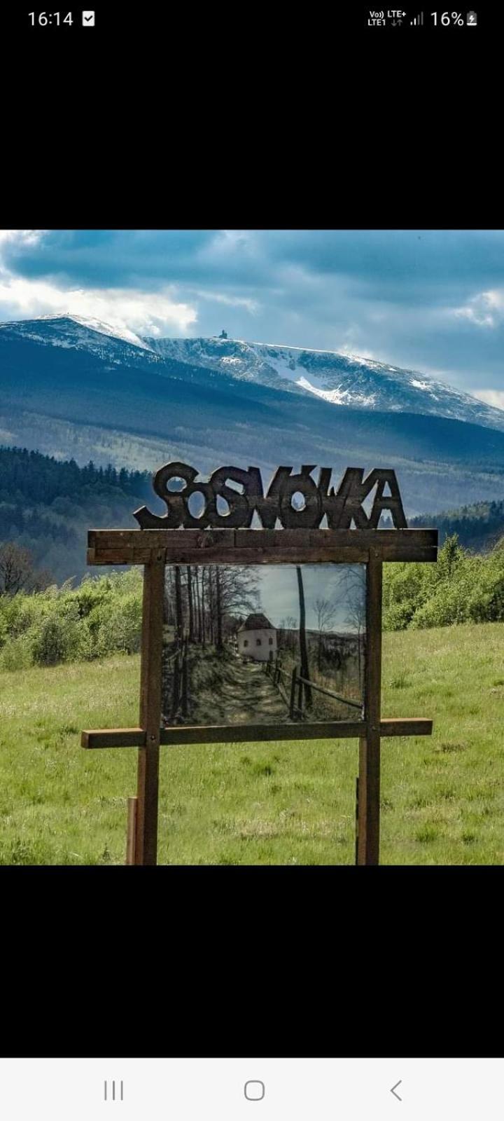 Apartament Laba Sosnówka Dış mekan fotoğraf